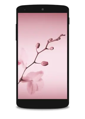 Wallpapers P10, Lite android App screenshot 4